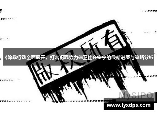 《除暴行动全面展开，打击犯罪势力保卫社会安宁的最新进展与策略分析》