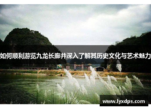 如何顺利游览九龙长廊并深入了解其历史文化与艺术魅力